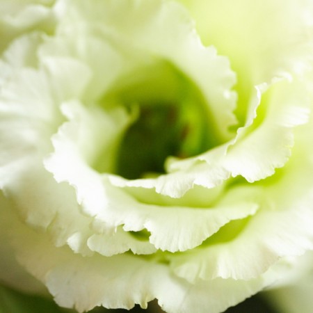 f:id:yusei2000:20100710103535j:image f:id:yusei2000:20100710103535j:image