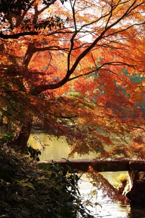 f:id:yusei2000:20101204110441j:image