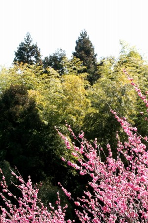 f:id:yusei2000:20110212115331j:image