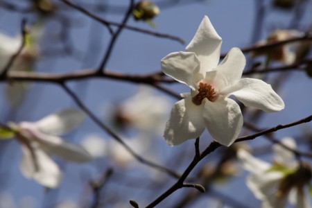 f:id:yusei2000:20110322181341j:image