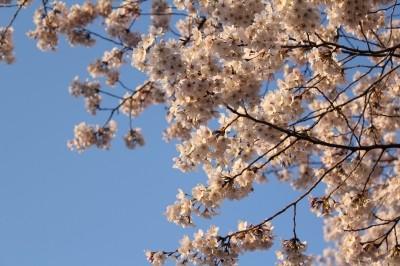 f:id:yusei2000:20110406192724j:image