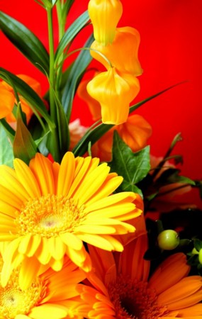 f:id:yusei2000:20110426125445j:image