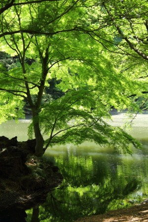 f:id:yusei2000:20110516153359j:image