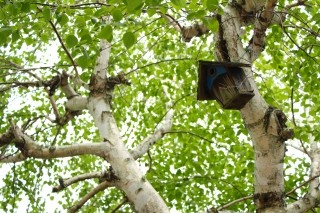 f:id:yusei2000:20110518183218j:image:left