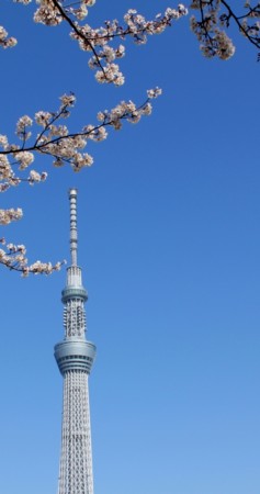 20120413125040