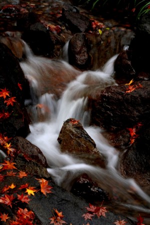 f:id:yusei2000:20120724173842j:image