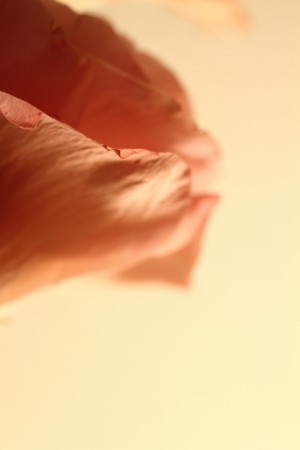 f:id:yusei2000:20120917210102j:image