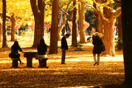 f:id:yusei2000:20131123120325j:image