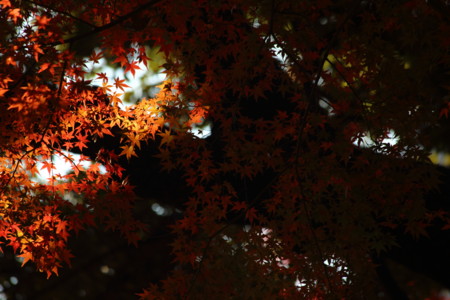 f:id:yusei2000:20131202093030j:image