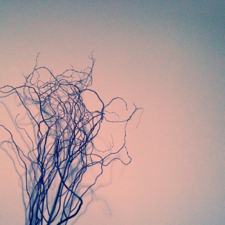 f:id:yusei2000:20140306191357j:image