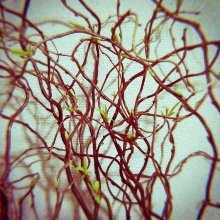 f:id:yusei2000:20140306191414j:image