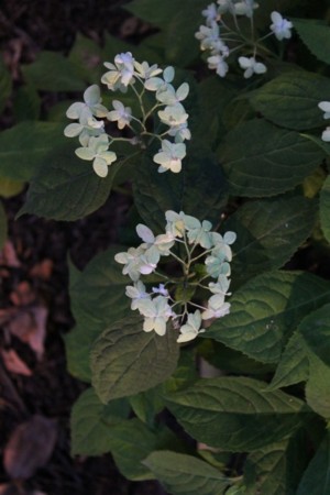 f:id:yusei2000:20140617094238j:image