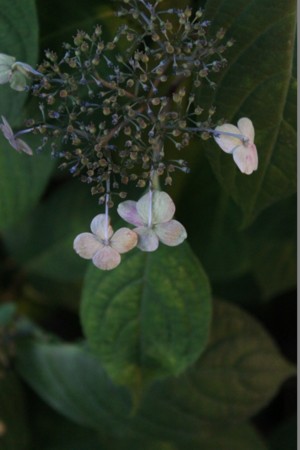 f:id:yusei2000:20140617094300j:image