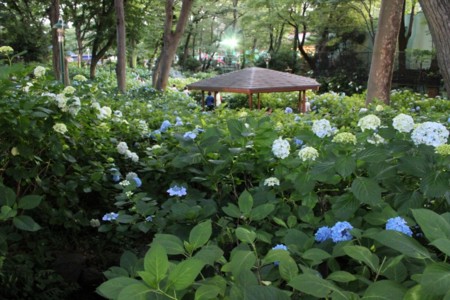 f:id:yusei2000:20140619140405j:image