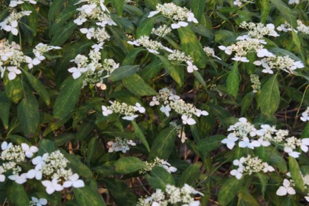 f:id:yusei2000:20140619141222j:image