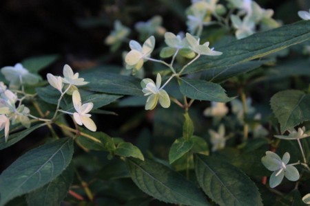 f:id:yusei2000:20140619141225j:image