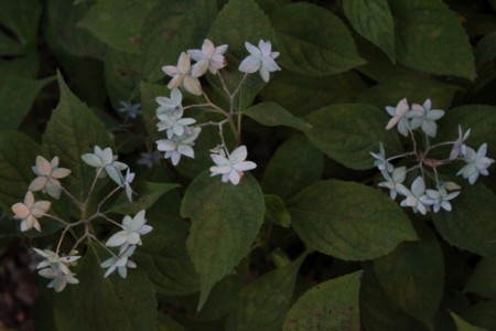 f:id:yusei2000:20140619141230j:image