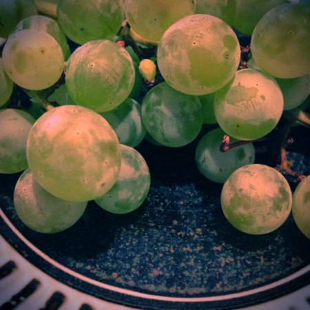 f:id:yusei2000:20140816163940j:image:w360