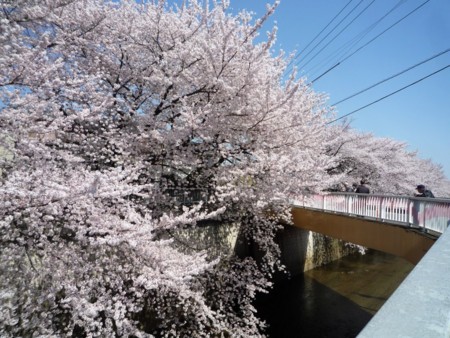 f:id:yusei2000:20150331183543j:image