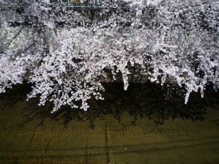 f:id:yusei2000:20150331183902j:image