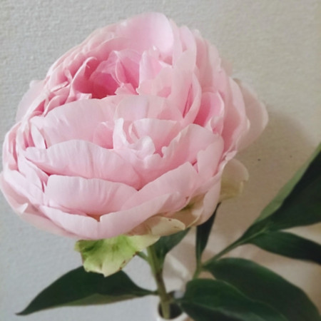 f:id:yusei2000:20150604192938j:image
