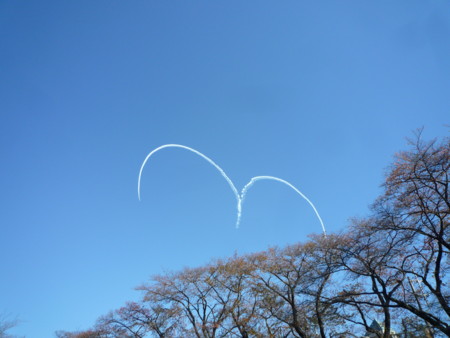 f:id:yusei2000:20151103141756j:image