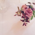 f:id:yusei2000:20151127191833j:image:medium