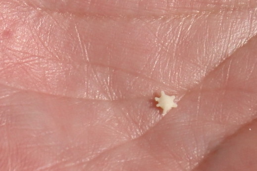 f:id:yusei2000:20191028134348j:plain