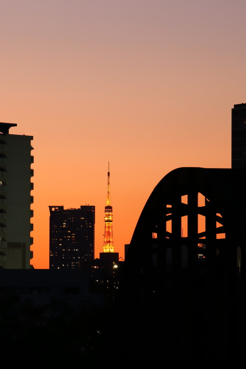 豊洲から東京タワー夕景