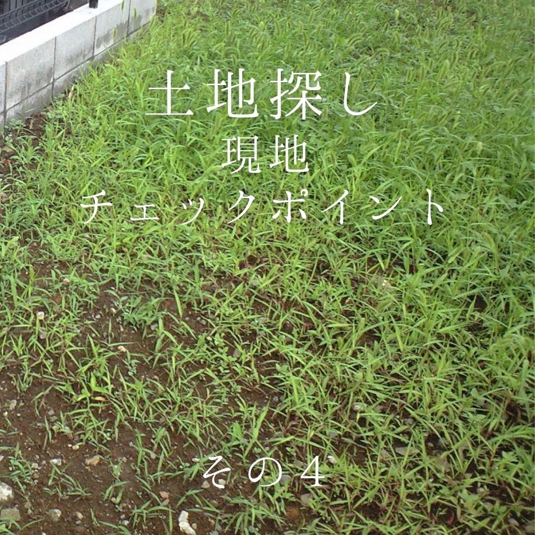 f:id:yusei2000:20220221150420j:plain