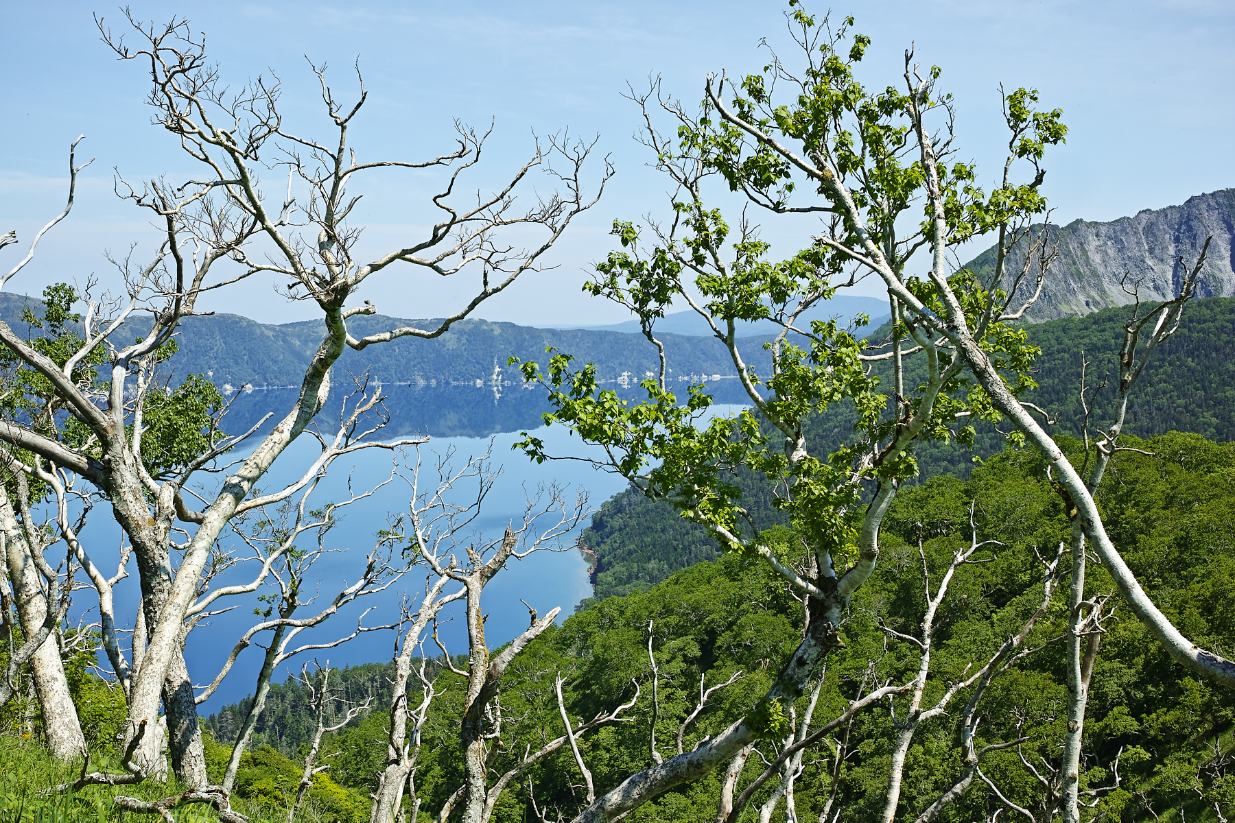 f:id:yusei3:20210806235705j:plain