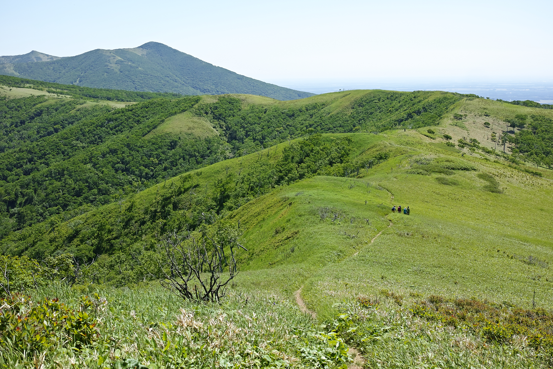 f:id:yusei3:20210807211931j:plain