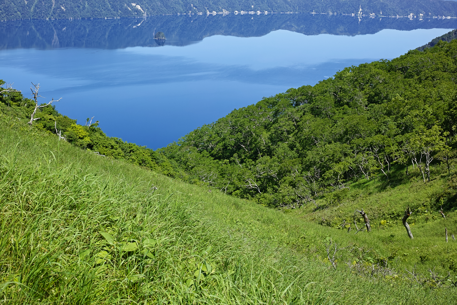 f:id:yusei3:20210807212241j:plain