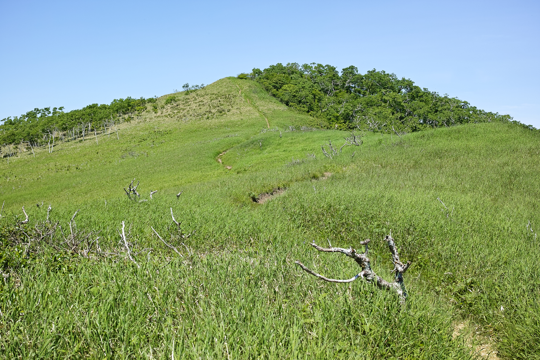 f:id:yusei3:20210807213039j:plain