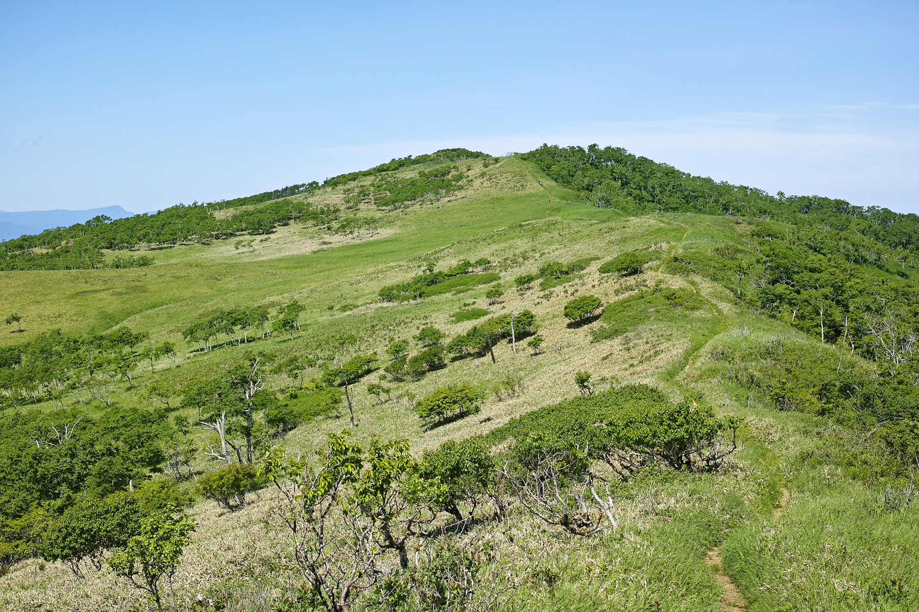 f:id:yusei3:20210807213127j:plain