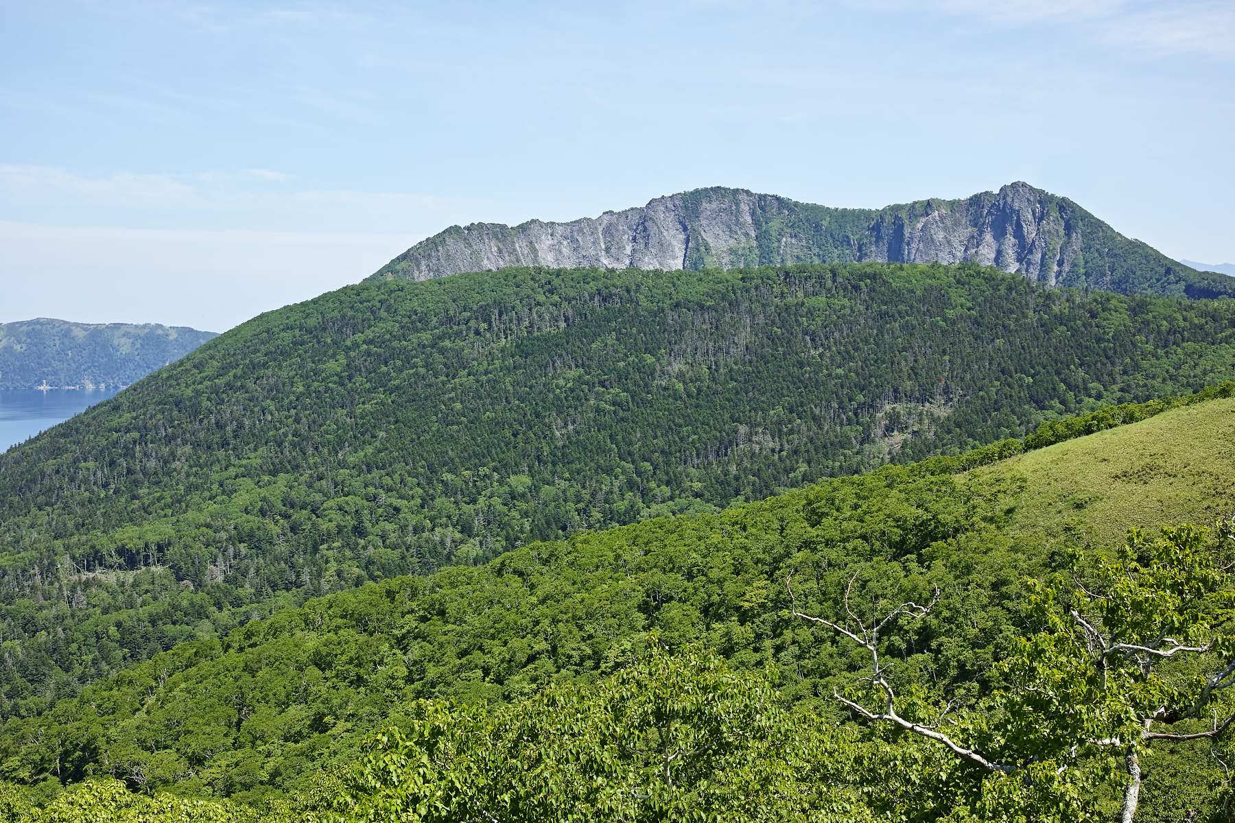 f:id:yusei3:20210807213509j:plain