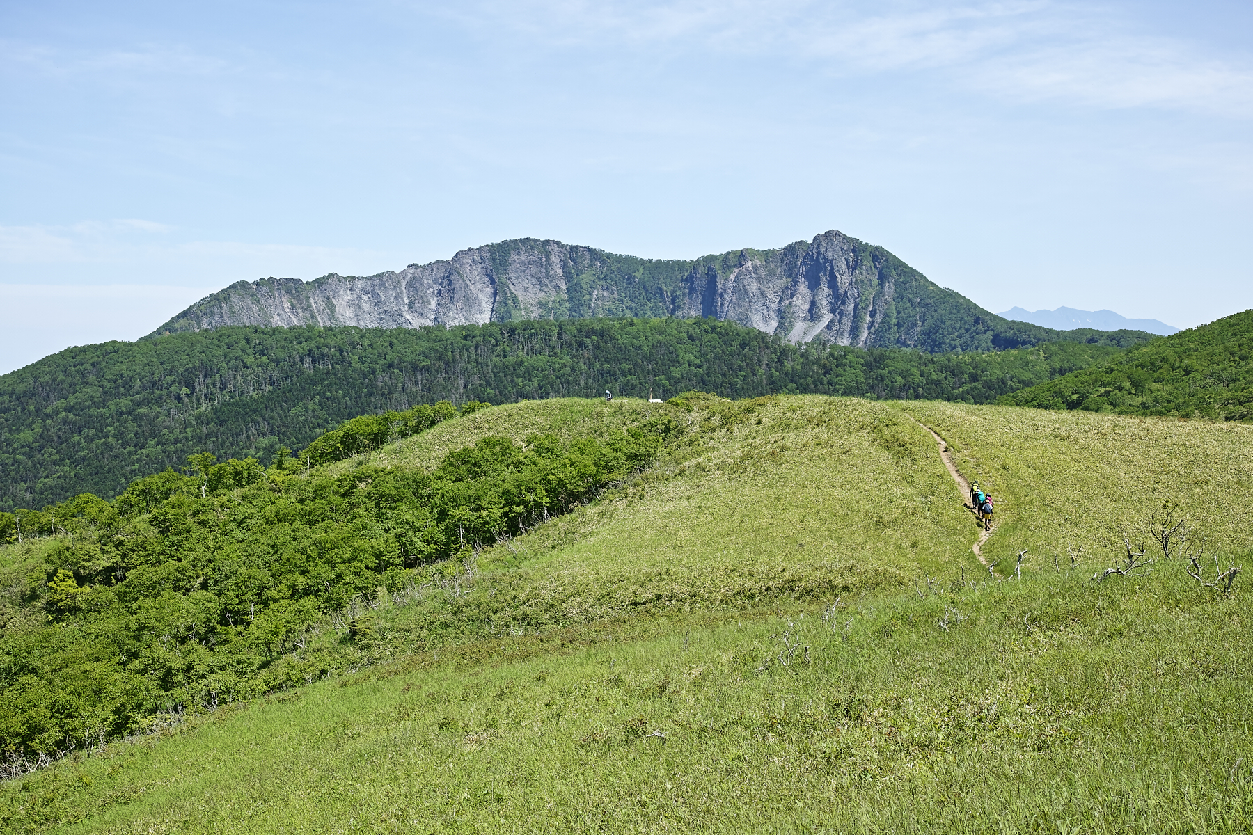 f:id:yusei3:20210807213622j:plain