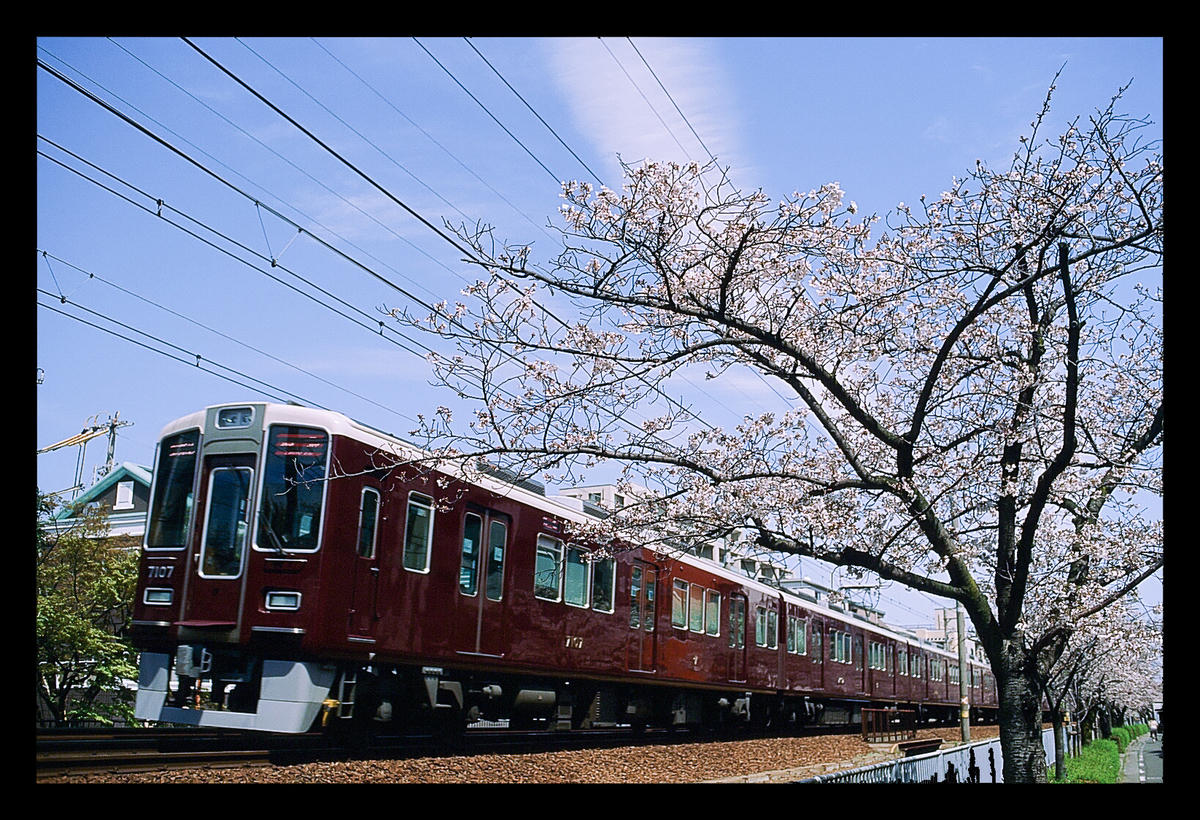 f:id:yuseiphotos:20190626024029j:plain