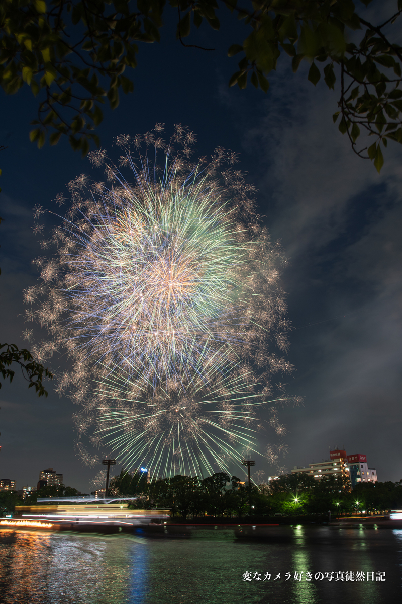 f:id:yuseiphotos:20190727032516j:plain f:id:yuseiphotos:20190727032516j:plain