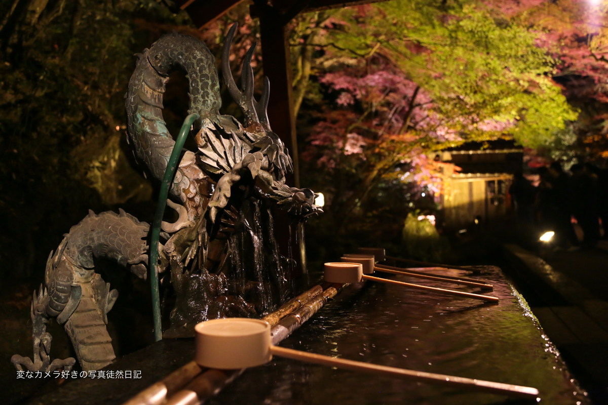 f:id:yuseiphotos:20191122212327j:plain