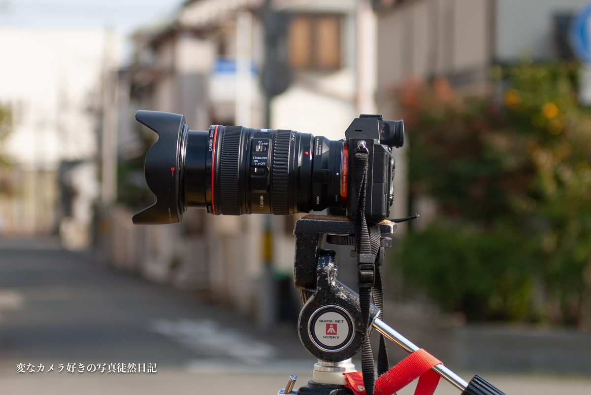 f:id:yuseiphotos:20191215155629j:plain