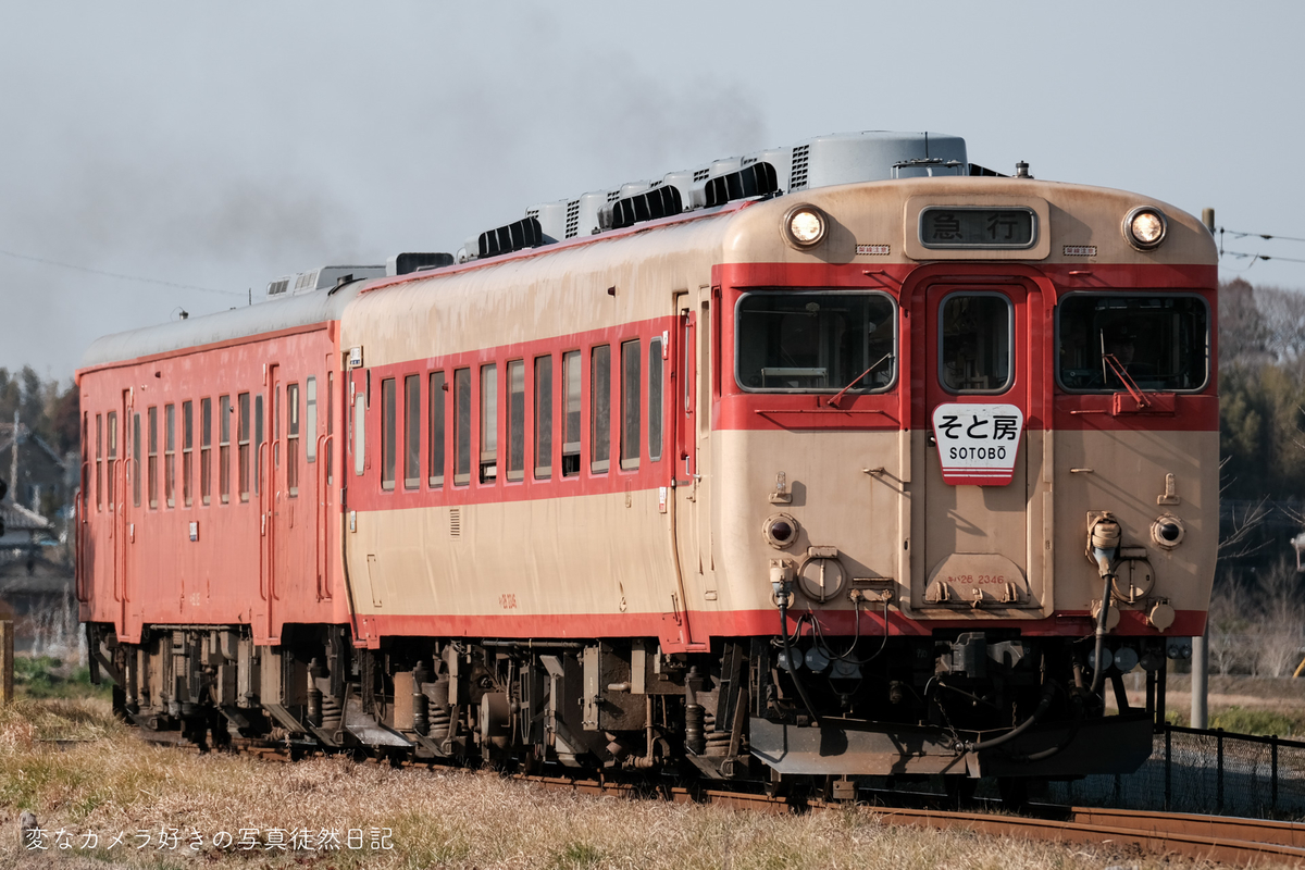 f:id:yuseiphotos:20191226191752j:plain f:id:yuseiphotos:20191226191752j:plain