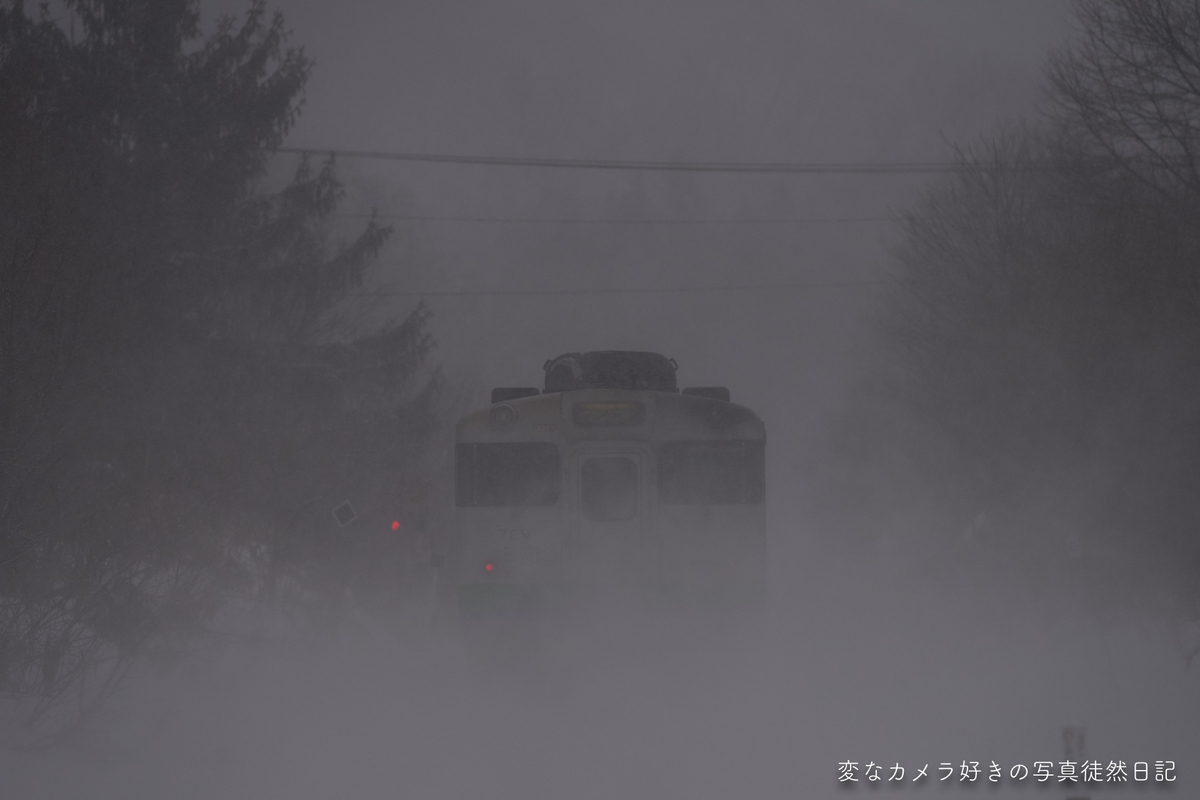 f:id:yuseiphotos:20200224161704j:plain