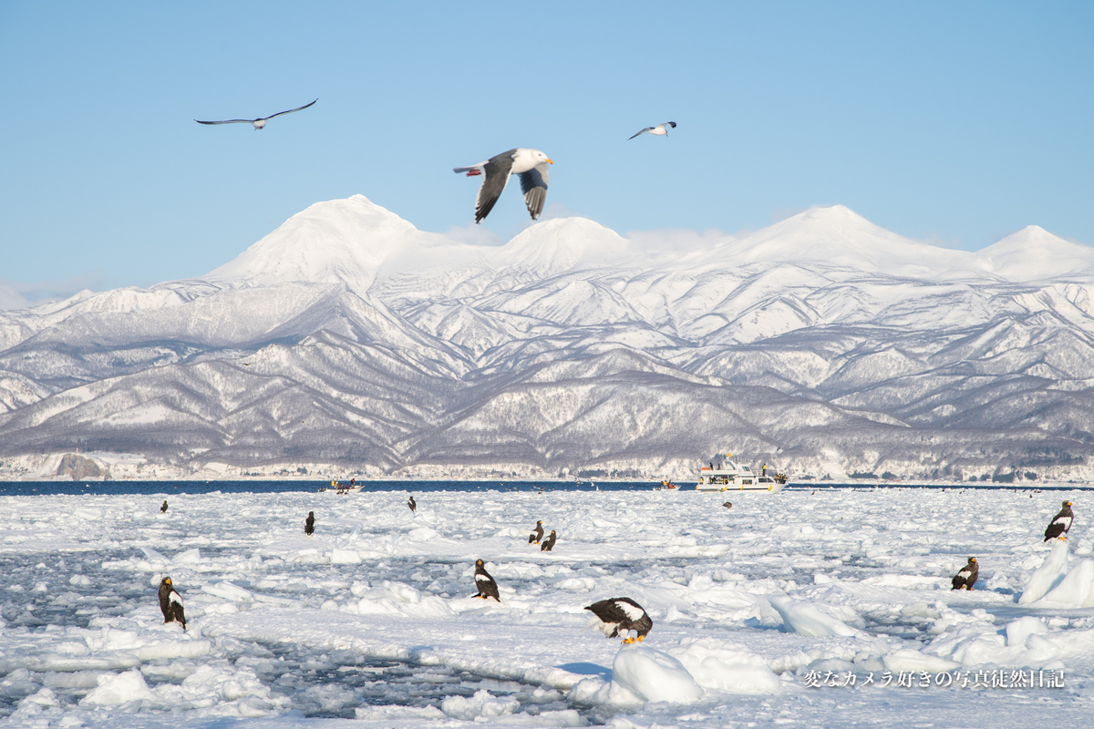 f:id:yuseiphotos:20200321113837j:plain f:id:yuseiphotos:20200321113837j:plain