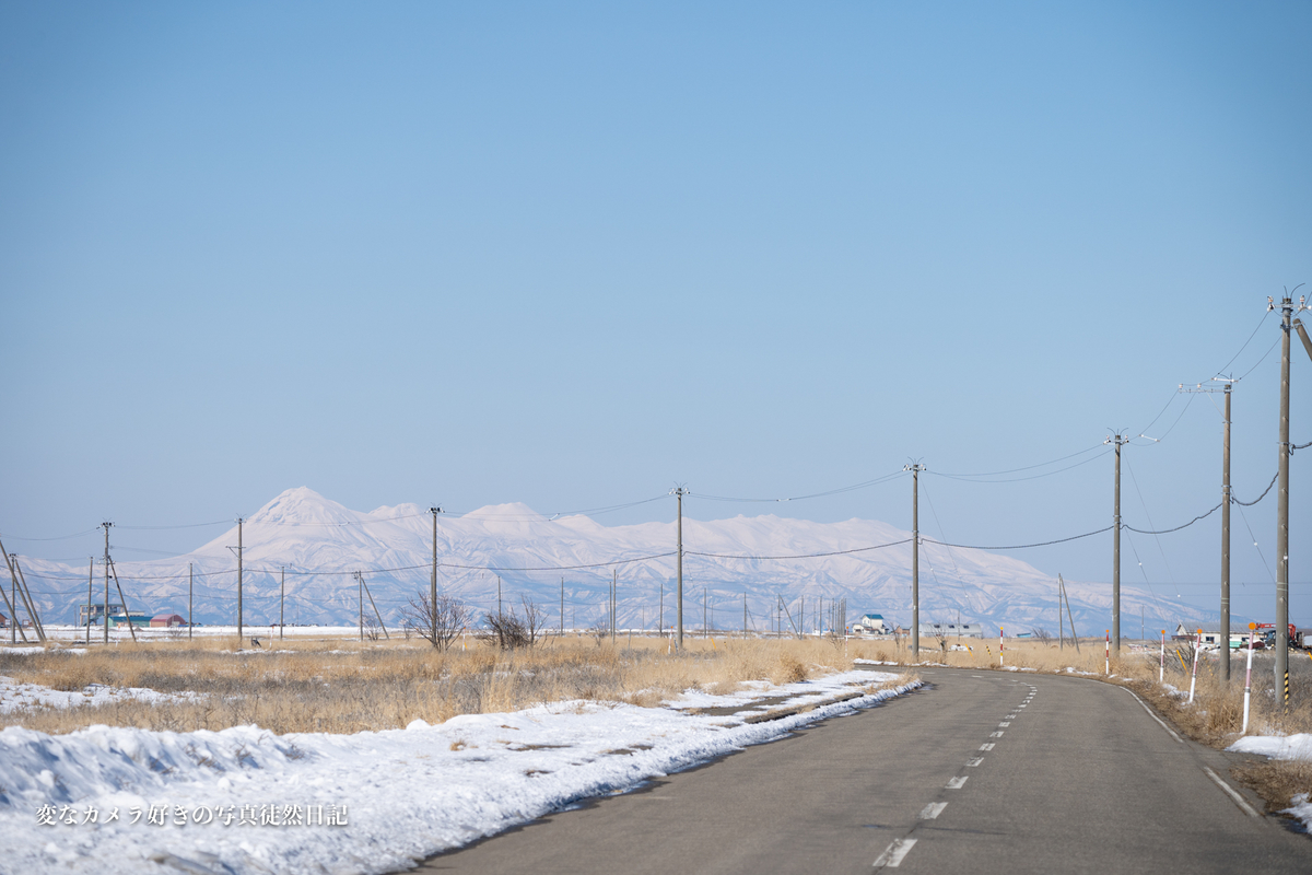 f:id:yuseiphotos:20200325160428j:plain