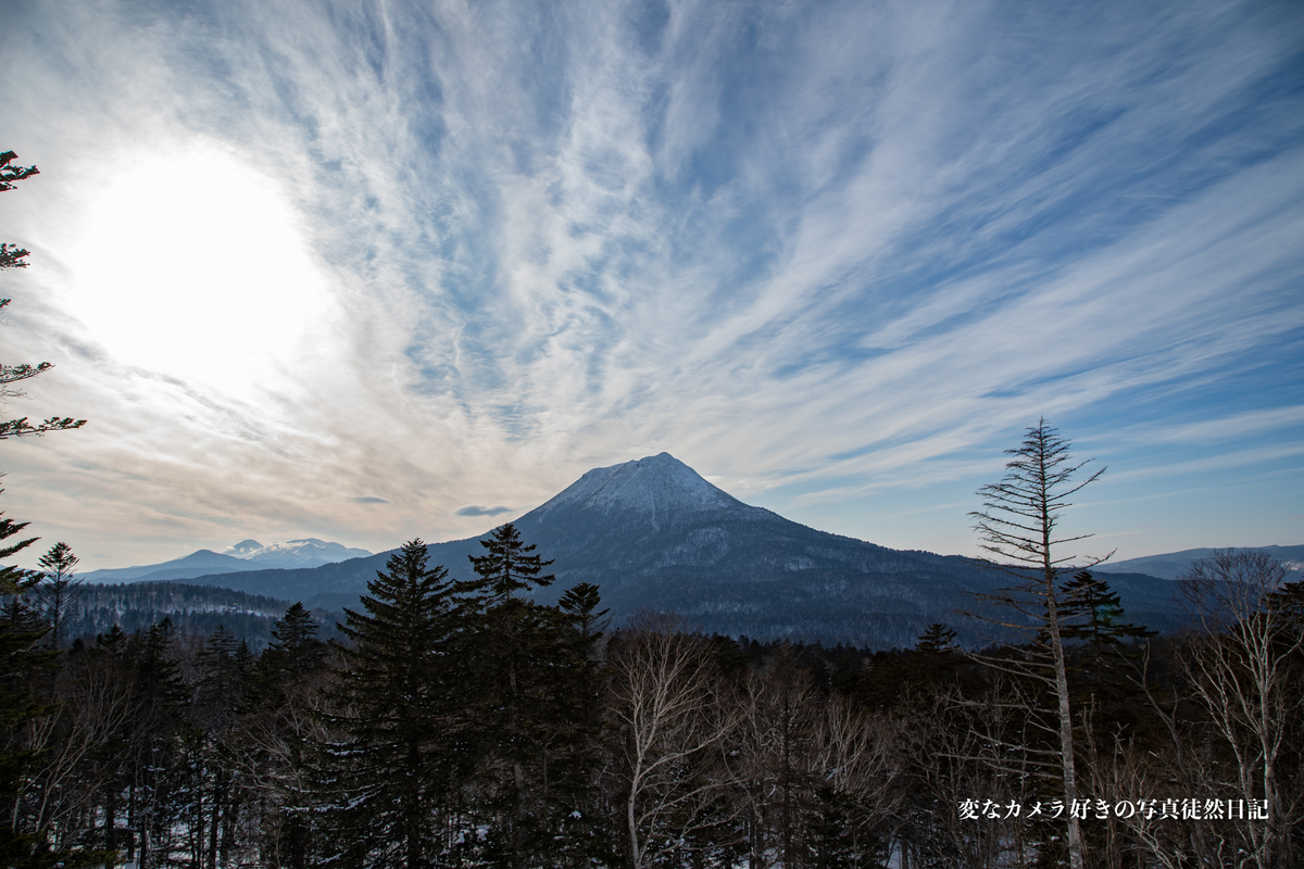 f:id:yuseiphotos:20200329105012j:plain