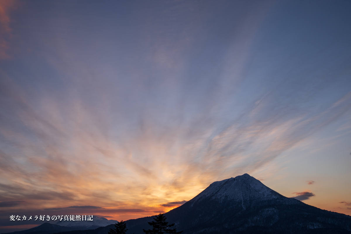 f:id:yuseiphotos:20200402213142j:plain f:id:yuseiphotos:20200402213142j:plain