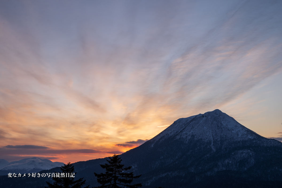 f:id:yuseiphotos:20200402213152j:plain f:id:yuseiphotos:20200402213152j:plain