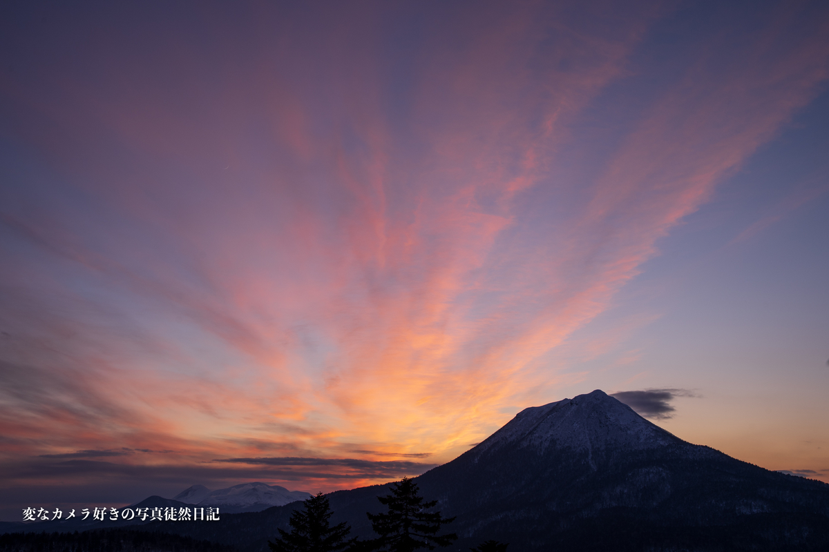 f:id:yuseiphotos:20200402213211j:plain f:id:yuseiphotos:20200402213211j:plain