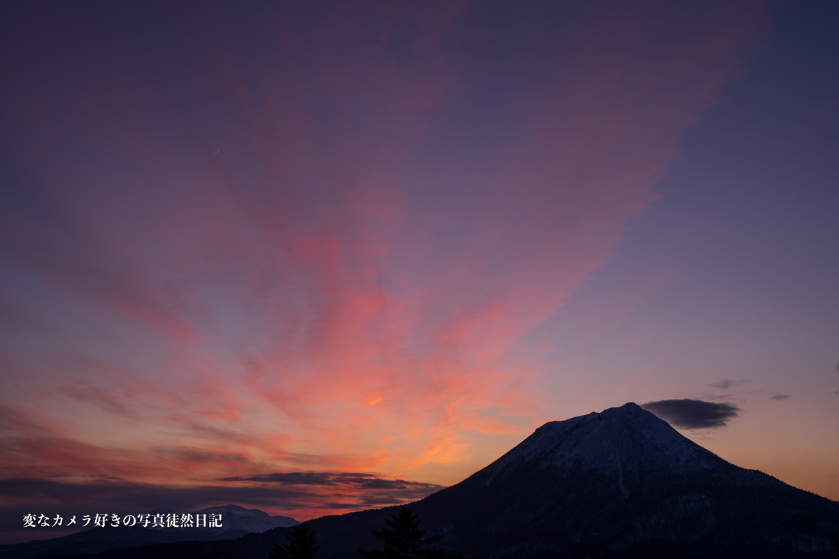f:id:yuseiphotos:20200402213224j:plain f:id:yuseiphotos:20200402213224j:plain